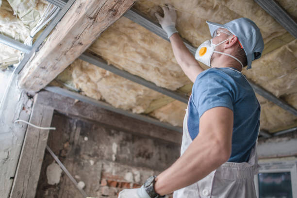 Best Cellulose Insulation in Medina, TN